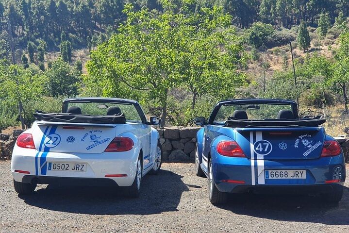 Tour en Cabrio Descapotable